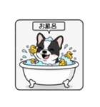 白黒フレンチブルドッグ毎日使えるスタンプ（個別スタンプ：33）