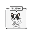白黒フレンチブルドッグ毎日使えるスタンプ（個別スタンプ：34）