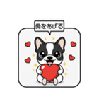 白黒フレンチブルドッグ毎日使えるスタンプ（個別スタンプ：38）