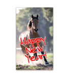 馬の年賀状★大きく表示されるBIGスタンプ（個別スタンプ：2）