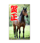 馬の年賀状★大きく表示されるBIGスタンプ（個別スタンプ：3）