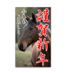馬の年賀状★大きく表示されるBIGスタンプ（個別スタンプ：4）