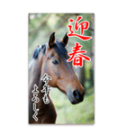 馬の年賀状★大きく表示されるBIGスタンプ（個別スタンプ：5）