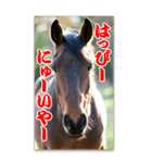 馬の年賀状★大きく表示されるBIGスタンプ（個別スタンプ：11）