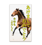 馬の年賀状★大きく表示されるBIGスタンプ（個別スタンプ：13）