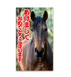 馬の年賀状★大きく表示されるBIGスタンプ（個別スタンプ：14）