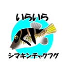 fish in the sea 18（個別スタンプ：5）