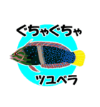 fish in the sea 18（個別スタンプ：8）