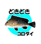 fish in the sea 18（個別スタンプ：10）