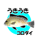 fish in the sea 18（個別スタンプ：11）