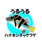 fish in the sea 18（個別スタンプ：12）