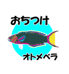 fish in the sea 18（個別スタンプ：13）