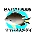 fish in the sea 18（個別スタンプ：18）