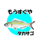 fish in the sea 18（個別スタンプ：20）
