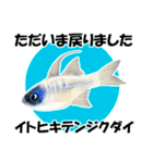 fish in the sea 18（個別スタンプ：21）