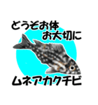 fish in the sea 18（個別スタンプ：22）