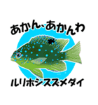 fish in the sea 18（個別スタンプ：23）