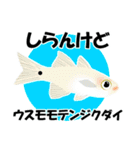 fish in the sea 18（個別スタンプ：24）