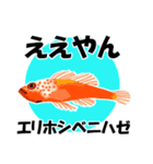 fish in the sea 18（個別スタンプ：26）
