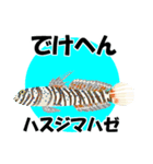 fish in the sea 18（個別スタンプ：27）