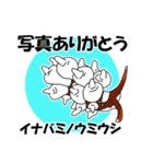 fish in the sea 18（個別スタンプ：32）