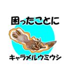 fish in the sea 18（個別スタンプ：36）