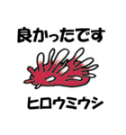 fish in the sea 18（個別スタンプ：40）