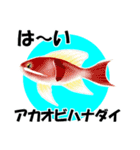 fish in the sea 17（個別スタンプ：2）