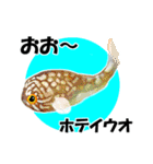 fish in the sea 17（個別スタンプ：4）