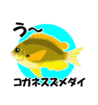 fish in the sea 17（個別スタンプ：5）