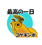 fish in the sea 17（個別スタンプ：13）