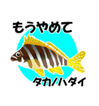 fish in the sea 17（個別スタンプ：14）