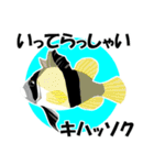 fish in the sea 17（個別スタンプ：16）