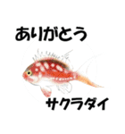 fish in the sea 17（個別スタンプ：17）