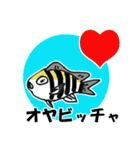 fish in the sea 17（個別スタンプ：18）
