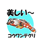 fish in the sea 17（個別スタンプ：21）