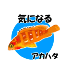 fish in the sea 17（個別スタンプ：22）
