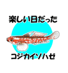 fish in the sea 17（個別スタンプ：24）