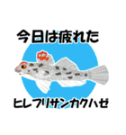 fish in the sea 17（個別スタンプ：27）