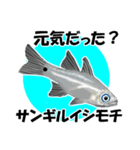 fish in the sea 17（個別スタンプ：28）