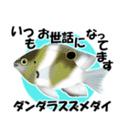 fish in the sea 17（個別スタンプ：29）