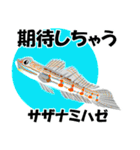 fish in the sea 17（個別スタンプ：30）