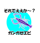 fish in the sea 17（個別スタンプ：31）