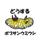 fish in the sea 17（個別スタンプ：37）