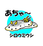 fish in the sea 17（個別スタンプ：40）