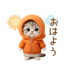 飛び出す スコティッシュ猫 可愛いみかん服（個別スタンプ：1）