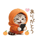 飛び出す スコティッシュ猫 可愛いみかん服（個別スタンプ：2）