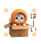 飛び出す スコティッシュ猫 可愛いみかん服（個別スタンプ：3）
