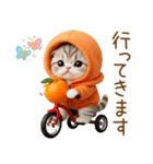飛び出す スコティッシュ猫 可愛いみかん服（個別スタンプ：5）