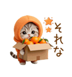 飛び出す スコティッシュ猫 可愛いみかん服（個別スタンプ：9）